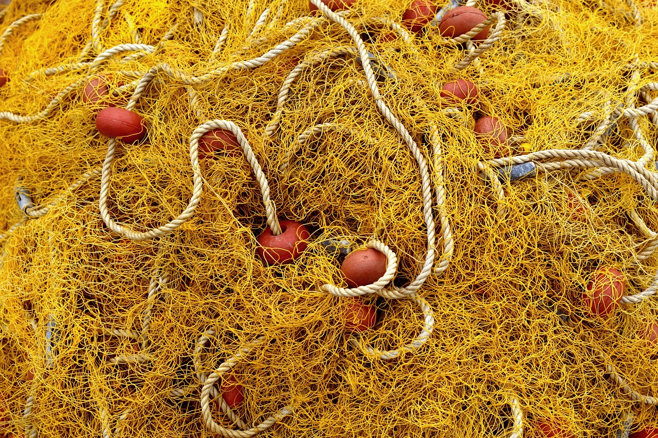 Fishing Gear Recommendations For Valdez ~ Casting Your Line In…