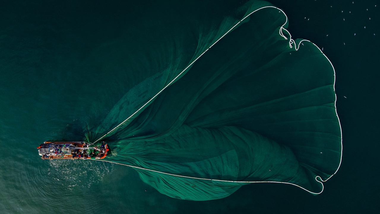 Fly Fishing In Valdez, AK / Hook, Line, And Sinker:…