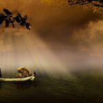 Guide-to-Fishing-in-Prince-William-Sound_and_Wildlife-and-Nature