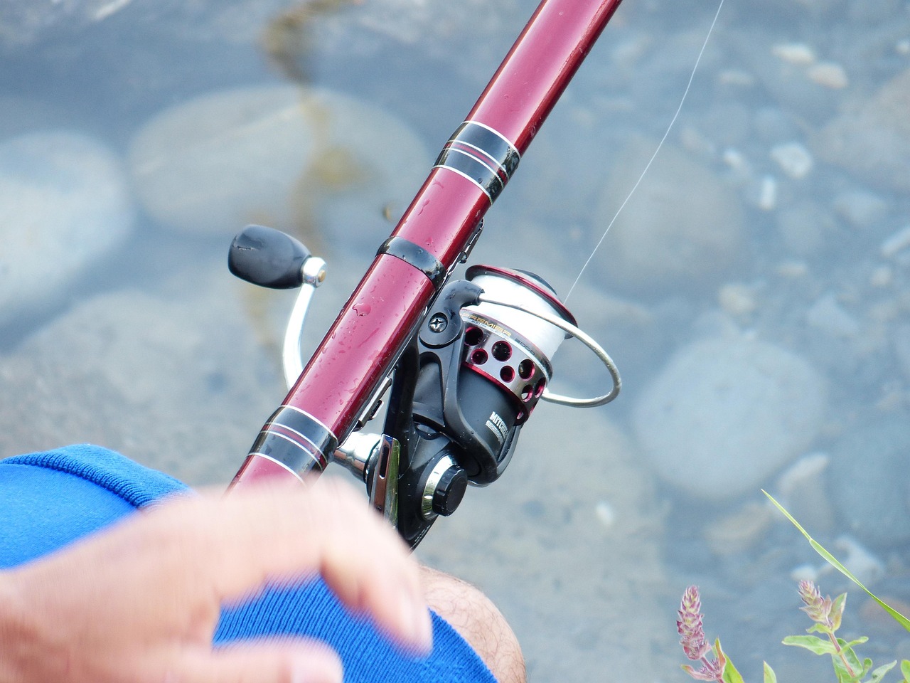 Halibut Fishing Valdez ~ Casting A Line In Alaska: Experience…