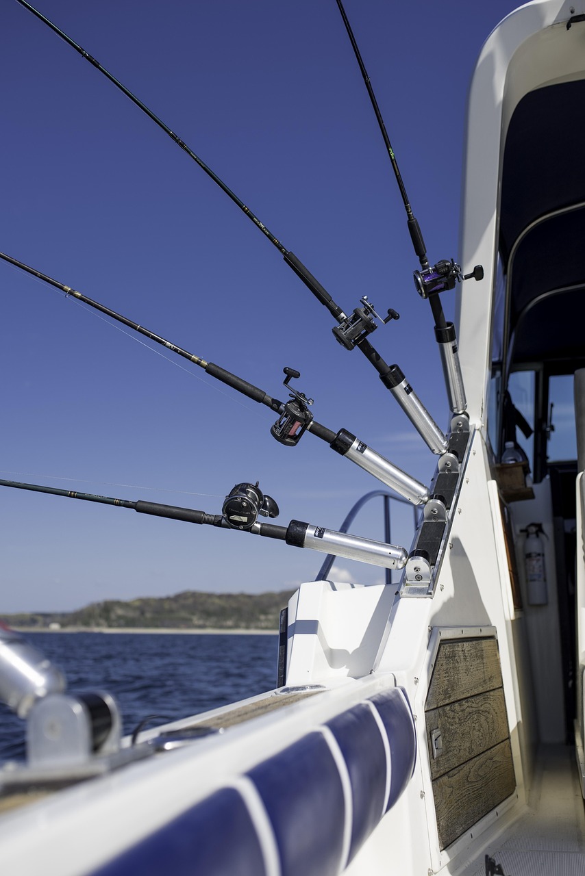 Halibut Fishing Charters Valdez / Reel In The Big One:…
