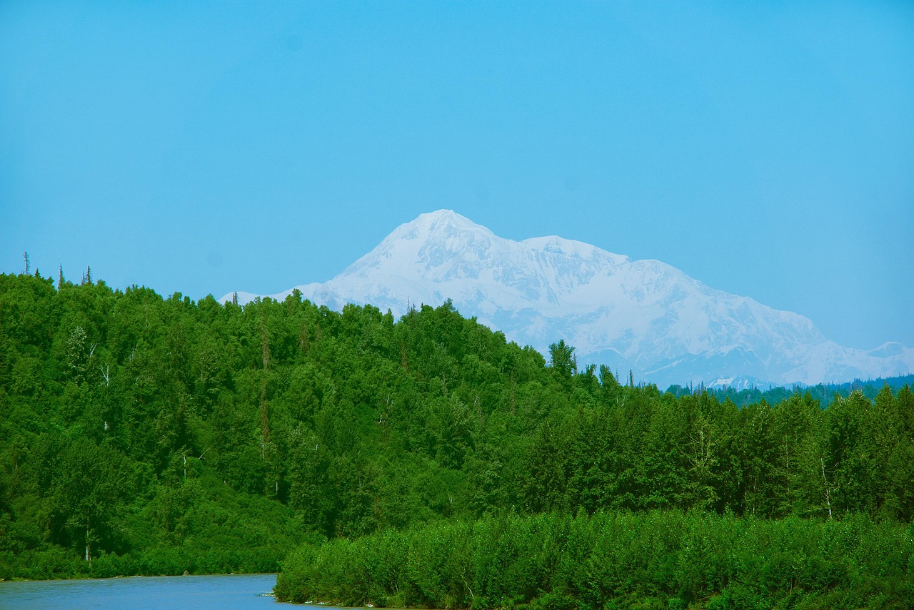 Local Regulations: Provide Information On Fishing Licenses, Permits, And Local…