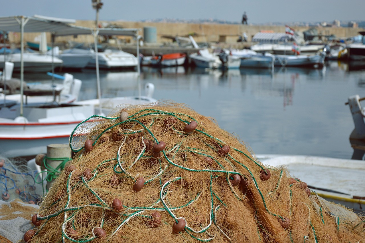 Personal Fishing Stories And Experiences / Casting A Line In…