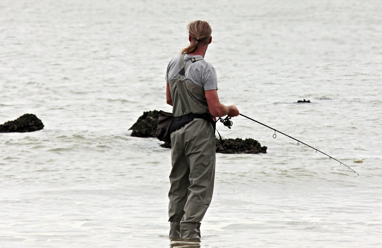 Types Of Fish: Provide Information About The Different Species Of…