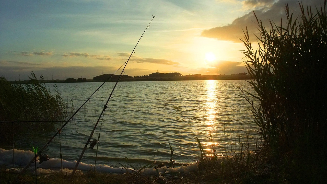 Valdez Fishing Derbies And Events – Get Hooked On Alaskan…