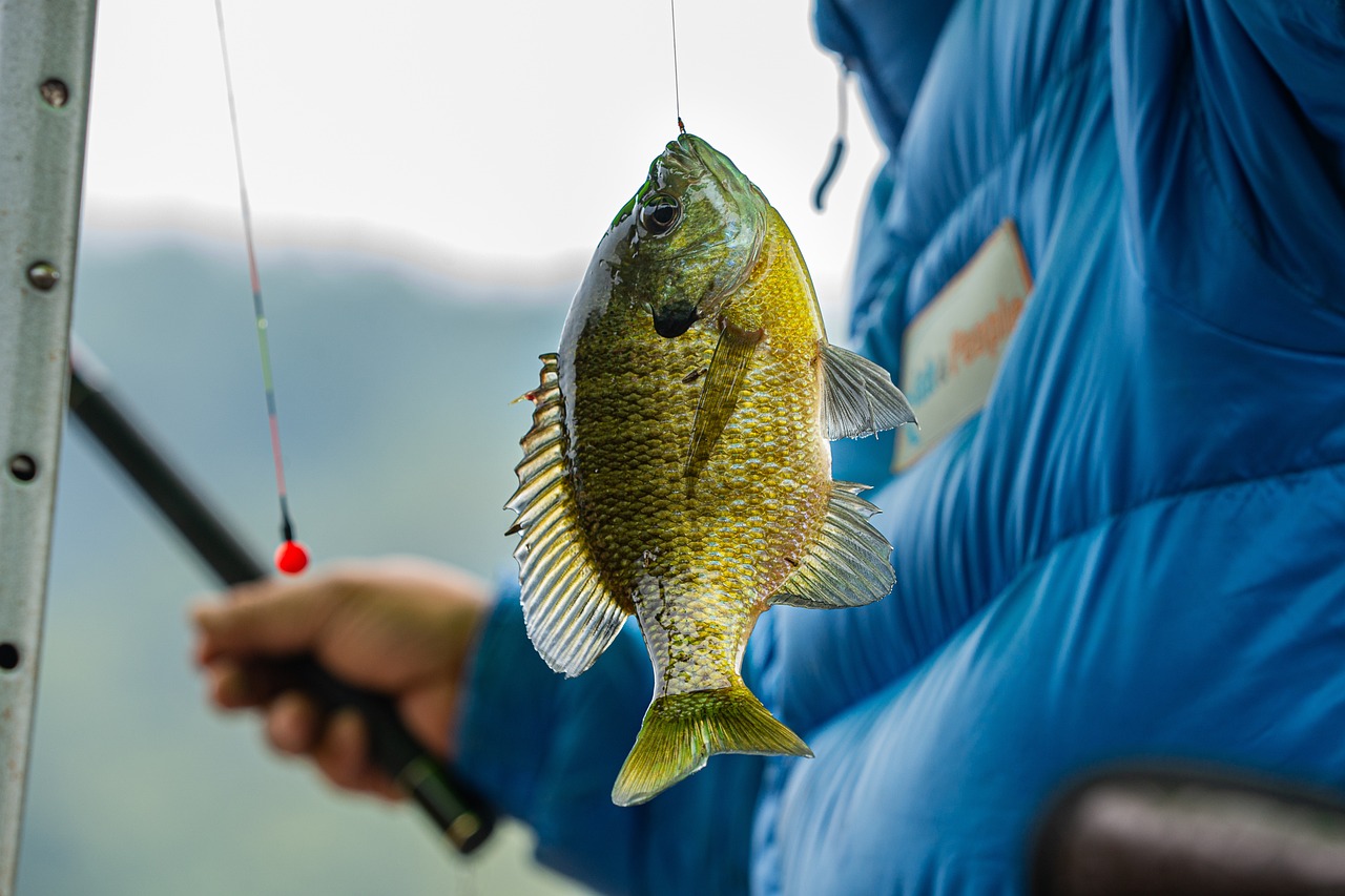 Valdez Fishing Derbies: Reel In The Big One: Alaska Fishing…