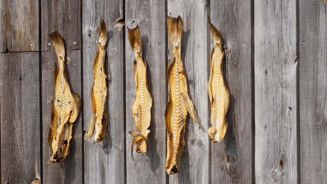 Valdez Fishing Regulations And Permits: Cast Your Line In Alaska’s…