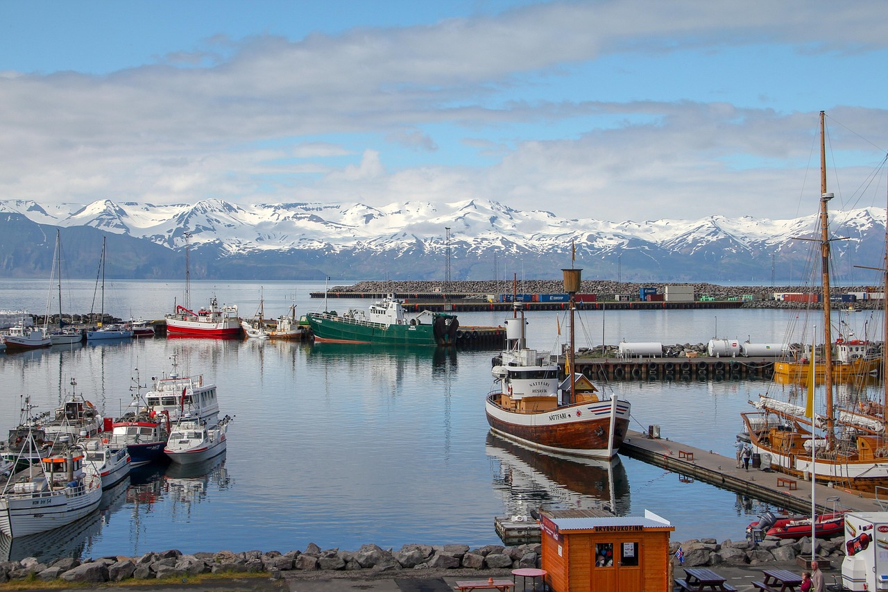 Valdez Fishing Regulations ~ Cast Your Line And Reel In…
