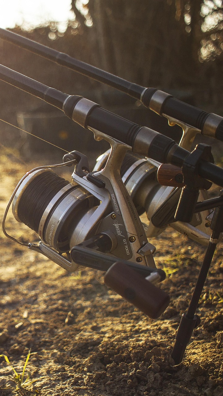Valdez Fishing Season | Cast Your Line In Alaska’s Fishing…