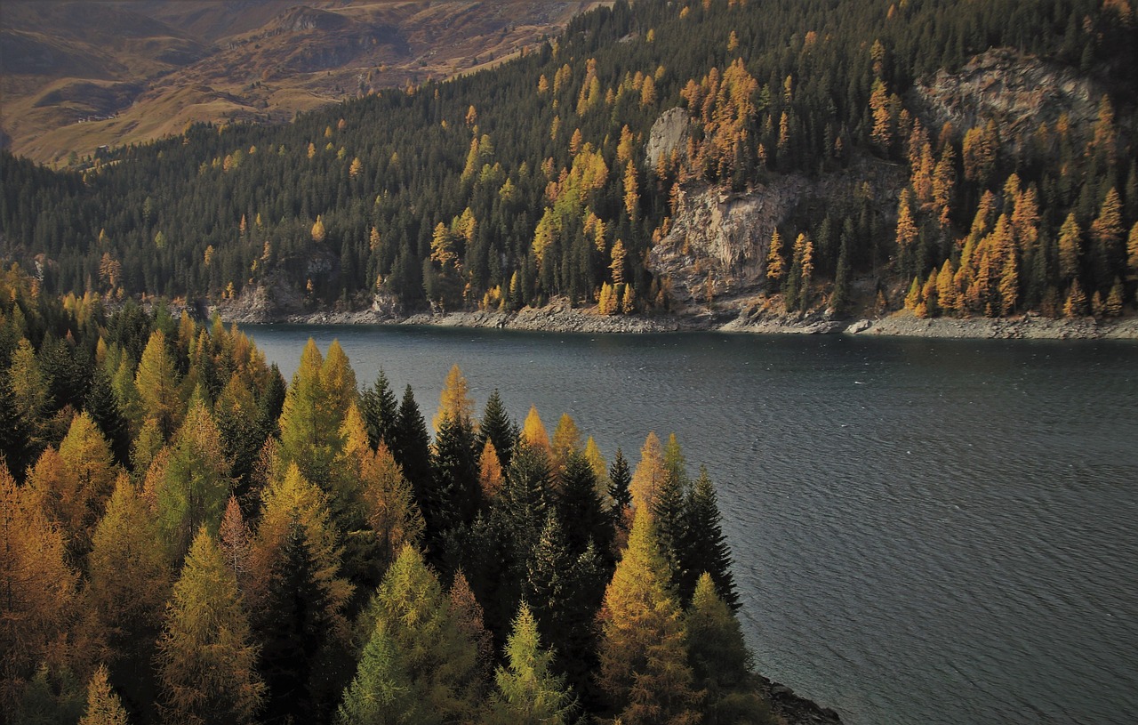 Wildlife And Nature Tours In Valdez: Unleash Your Inner Adventurer:…