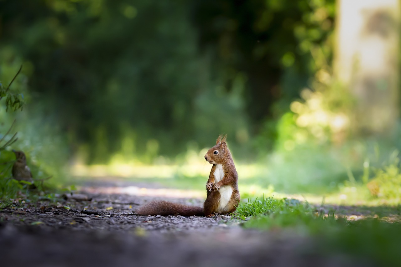 Wildlife And Nature Tours In Valdez / Experience The Wild…