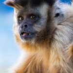Wildlife-and-nature-tours-in-Valdez_and_Fishing-Tips-and-Tricks