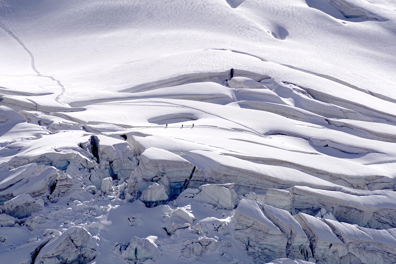 Wildlife And Nature Tours In Valdez – Experience The Wild…