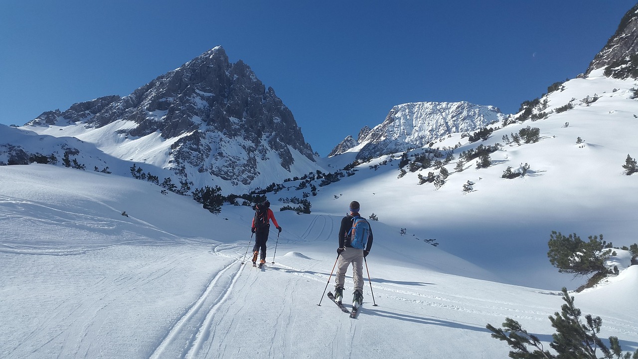 Wildlife And Nature Tours In Valdez | Unforgettable Adventures Await…