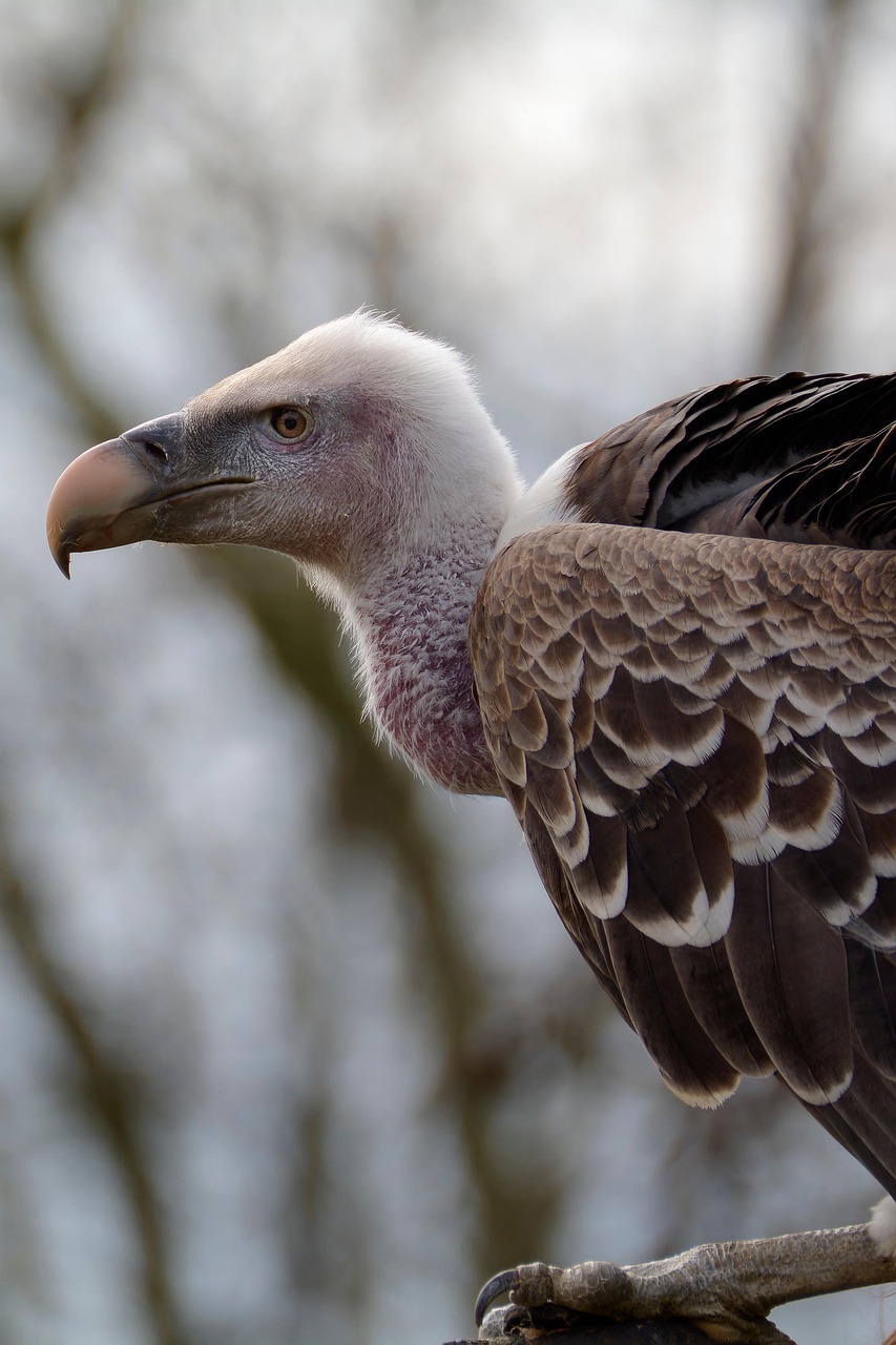 Wildlife And Nature Tours In Valdez / Get Ready For…