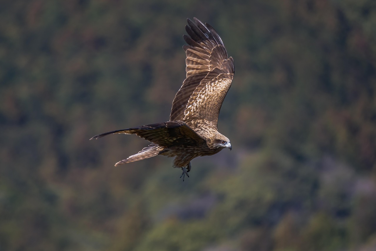 Wildlife And Nature Tours In Valdez | Get Hooked On…