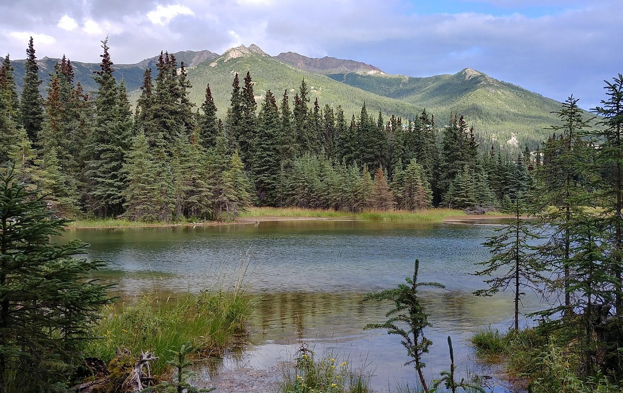 Best Fishing Spots In Valdez, Alaska | Hook, Line, And…