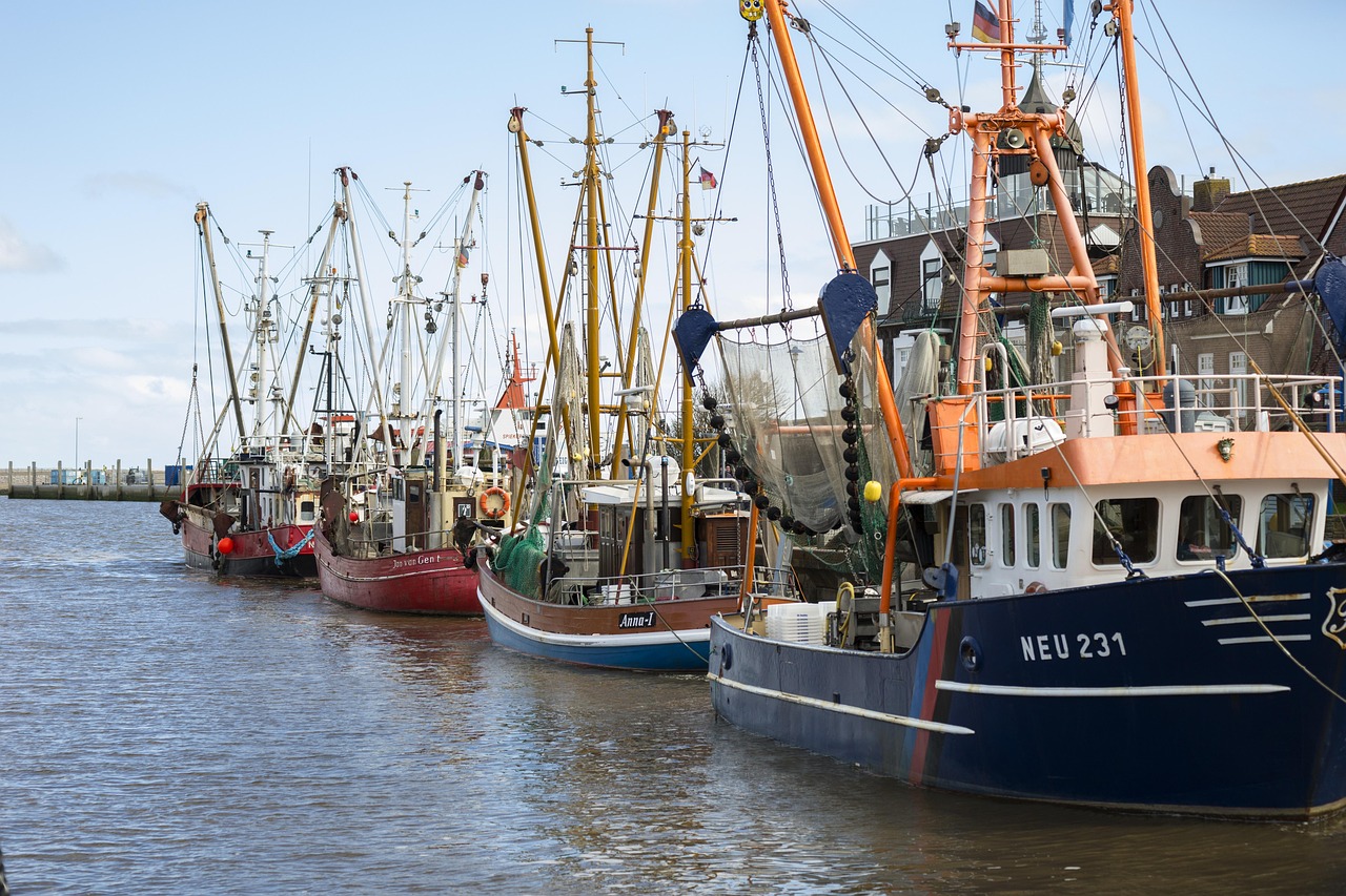 Deep-sea Fishing Valdez / Get Hooked On Alaska Fishing In…