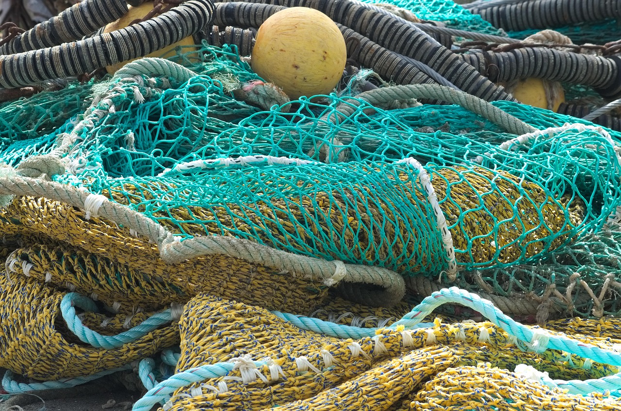 Fishing Locations: Highlight The Best Fishing Spots In And Around…
