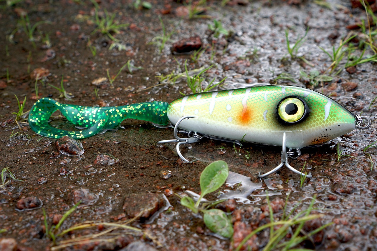Fishing Gear Valdez / Alaska Fishing Adventures: Hooking The Big…