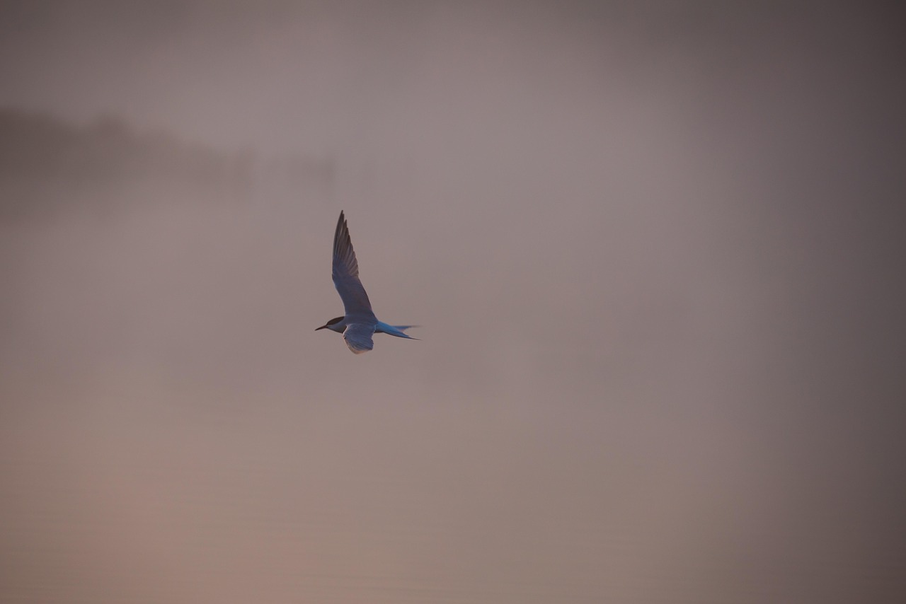 Fly Fishing In Valdez, AK ~ Cast Your Line In…