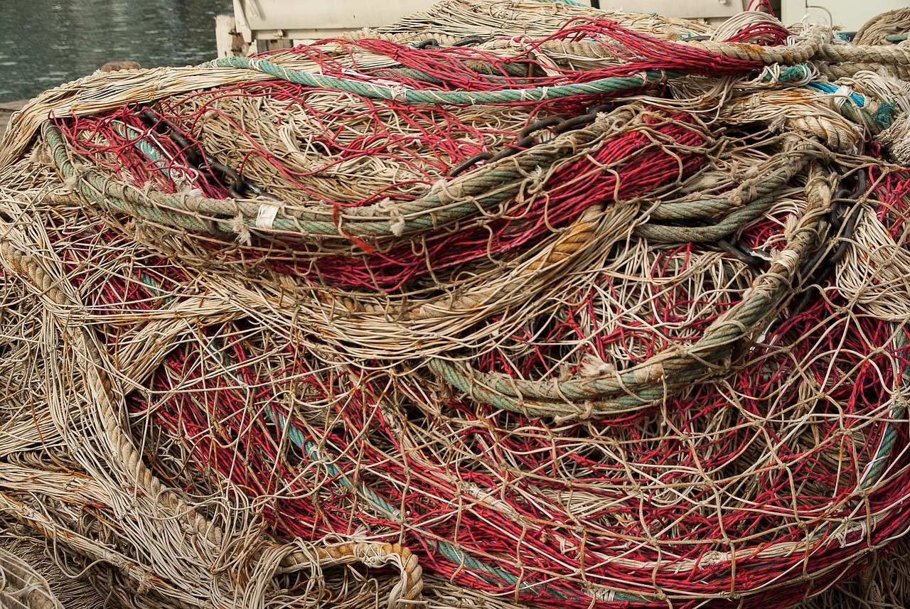 Personal Fishing Stories And Experiences » Cast Your Line And…
