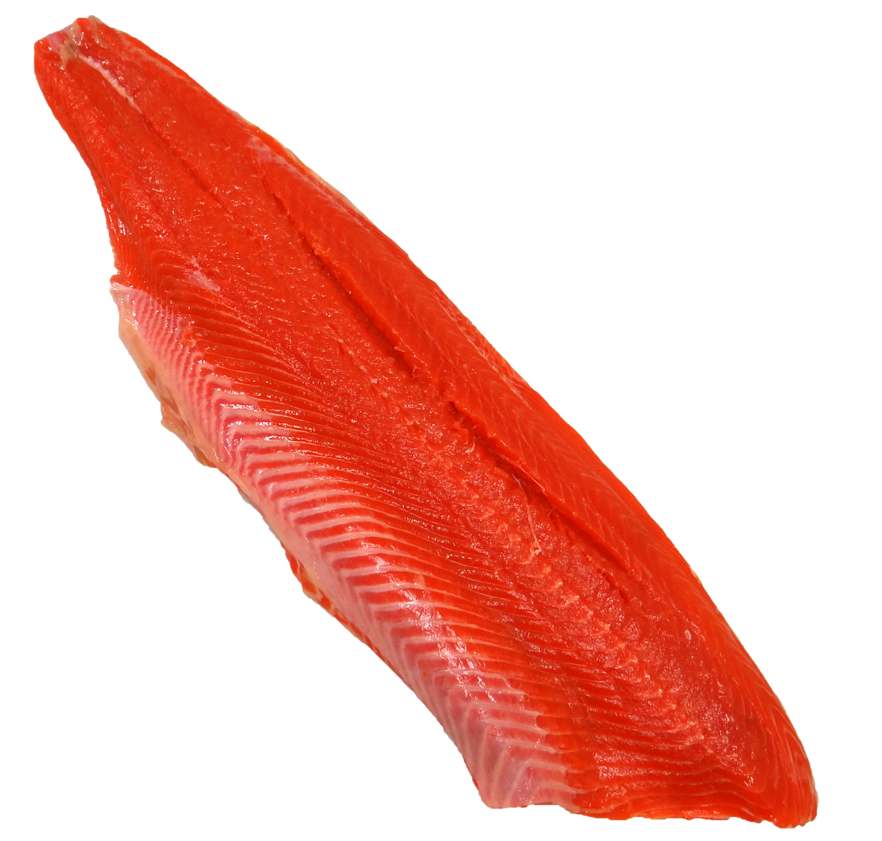 Salmon Fishing Trips Valdez » Cast Your Line In Alaska’s…