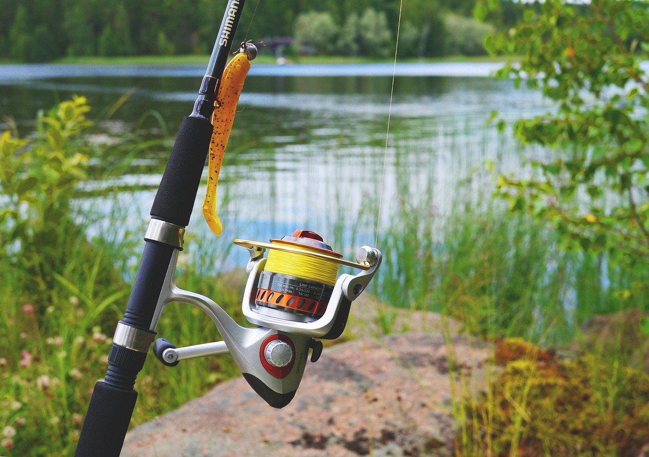 Tips For Successful Fishing In Valdez: Get Hooked On Alaska…