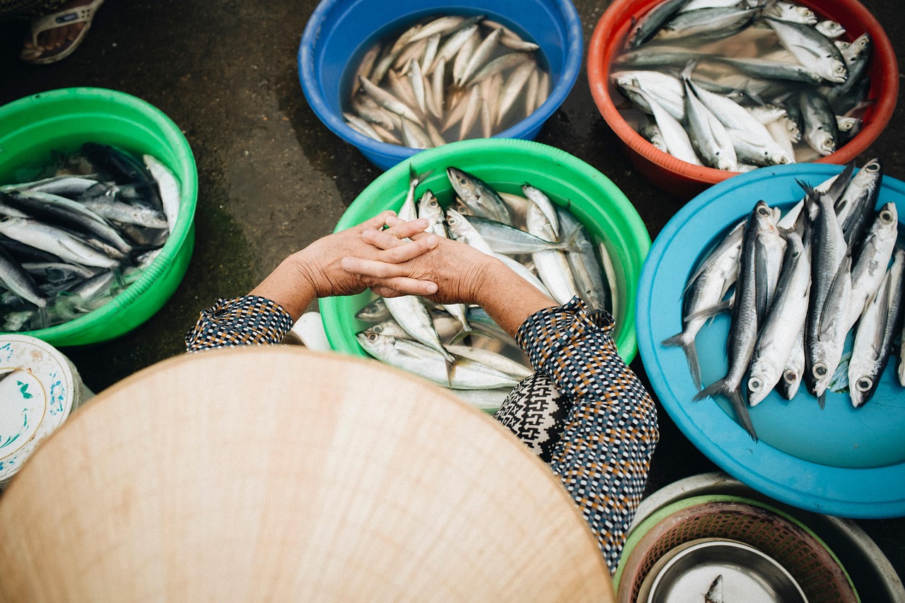 Types Of Fish: Provide Information About The Different Species Of…