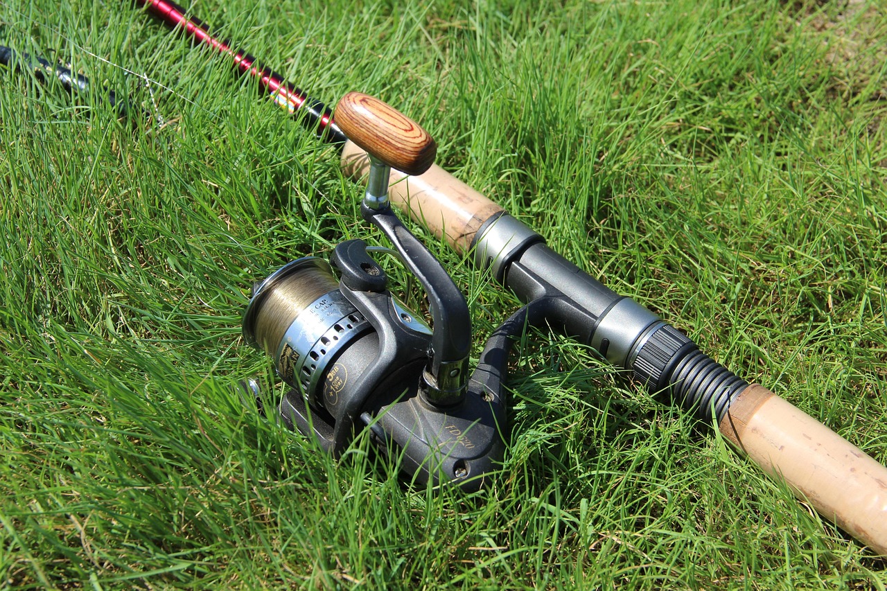 Valdez Fishing Accommodation: Hook, Line, And Alaska! Your Ultimate Guide…