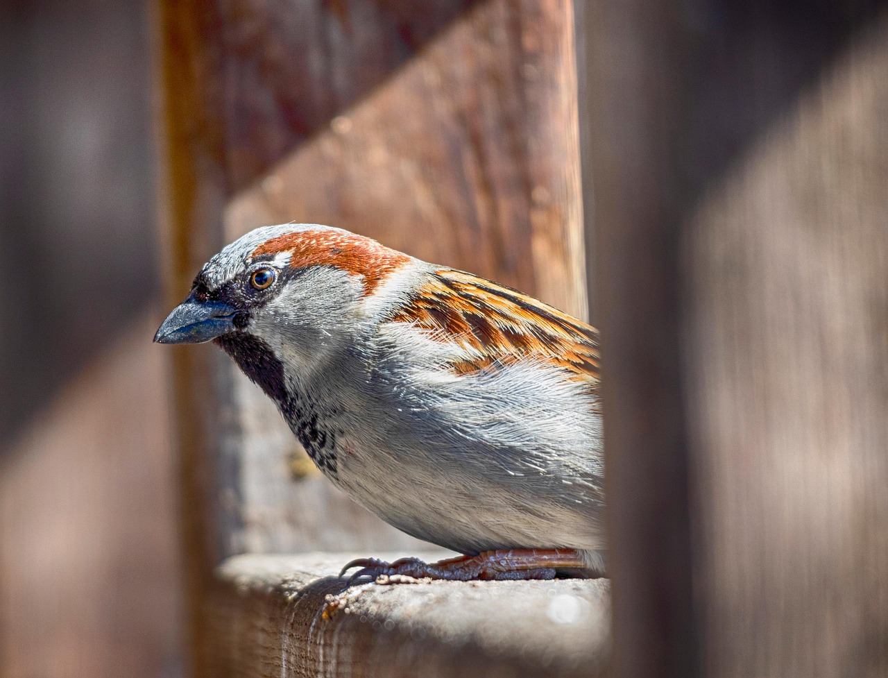Wildlife And Nature Tours In Valdez / Escape To Alaska’s…