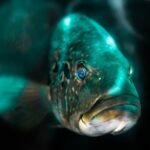 Fishing Accommodation In Valdez / Get Hooked: Your Dream Alaska... Fishing-accommodation-in-Valdez_and_Gear-and-Equipment