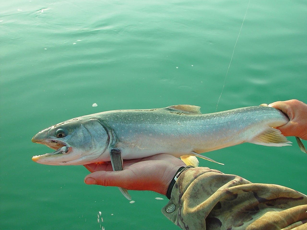 Salmon Fishing Trips Valdez – Quick Scoop! Get Ready For…