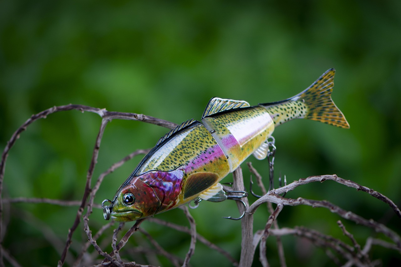 Seasonal Fishing Guide Valdez | Get Ready For An Epic…