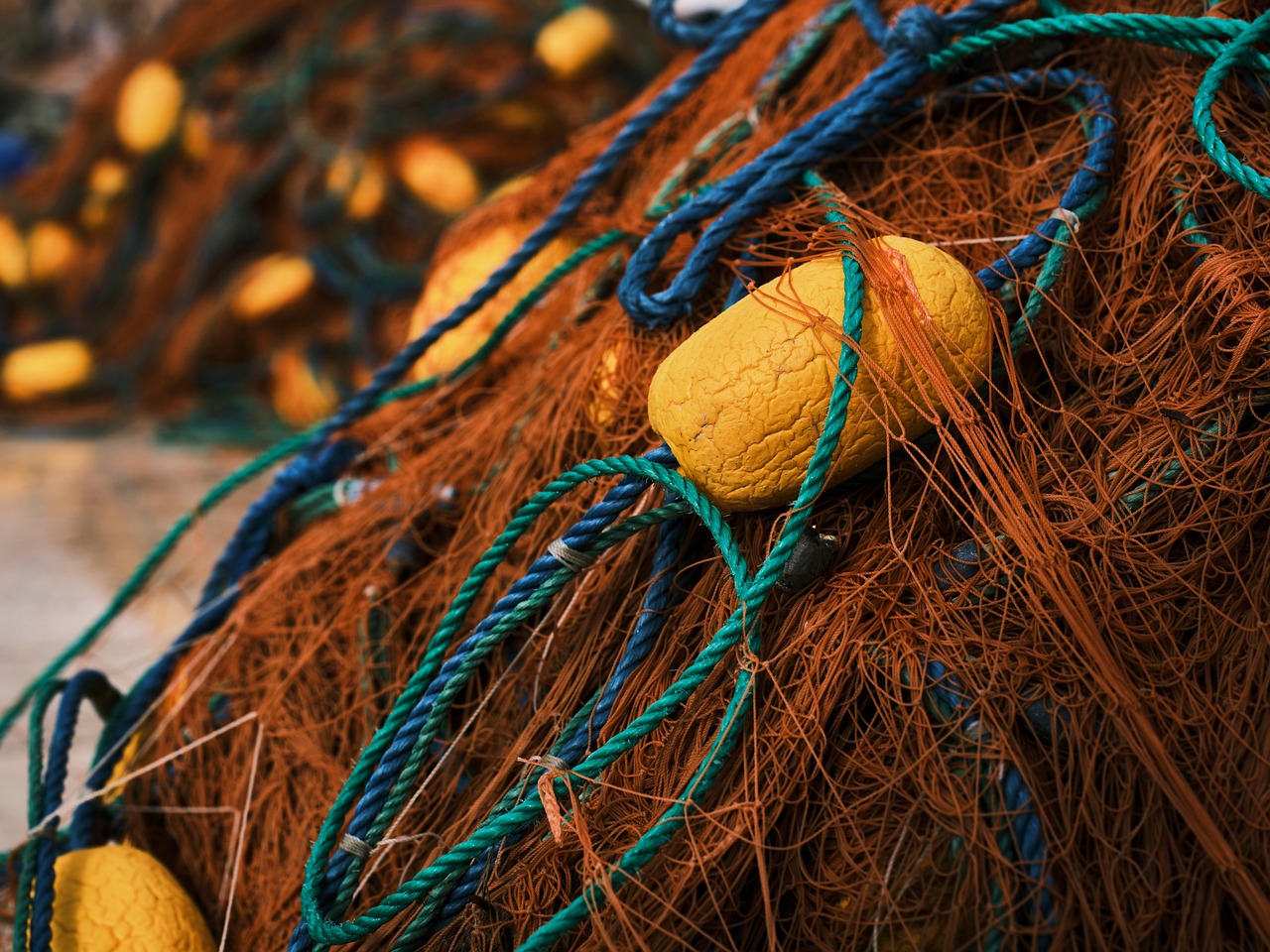 Valdez Fishing Charters – Alaska Fishing: Hooking Your Dream Catch…