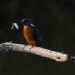 Valdez Fishing Regulations And Permits: 🎣 Cast Your Line In... Valdez-fishing-regulations-and-permits_and_Gear-and-Equipment