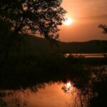 Wildlife-and-Scenery-in-Valdez_and_Guided-Tours